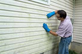 Professional Siding Services in Lemont, IL